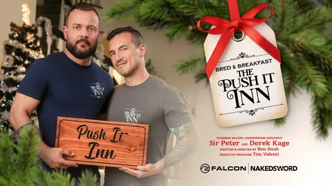 Falcon Studios gay scene preview 29